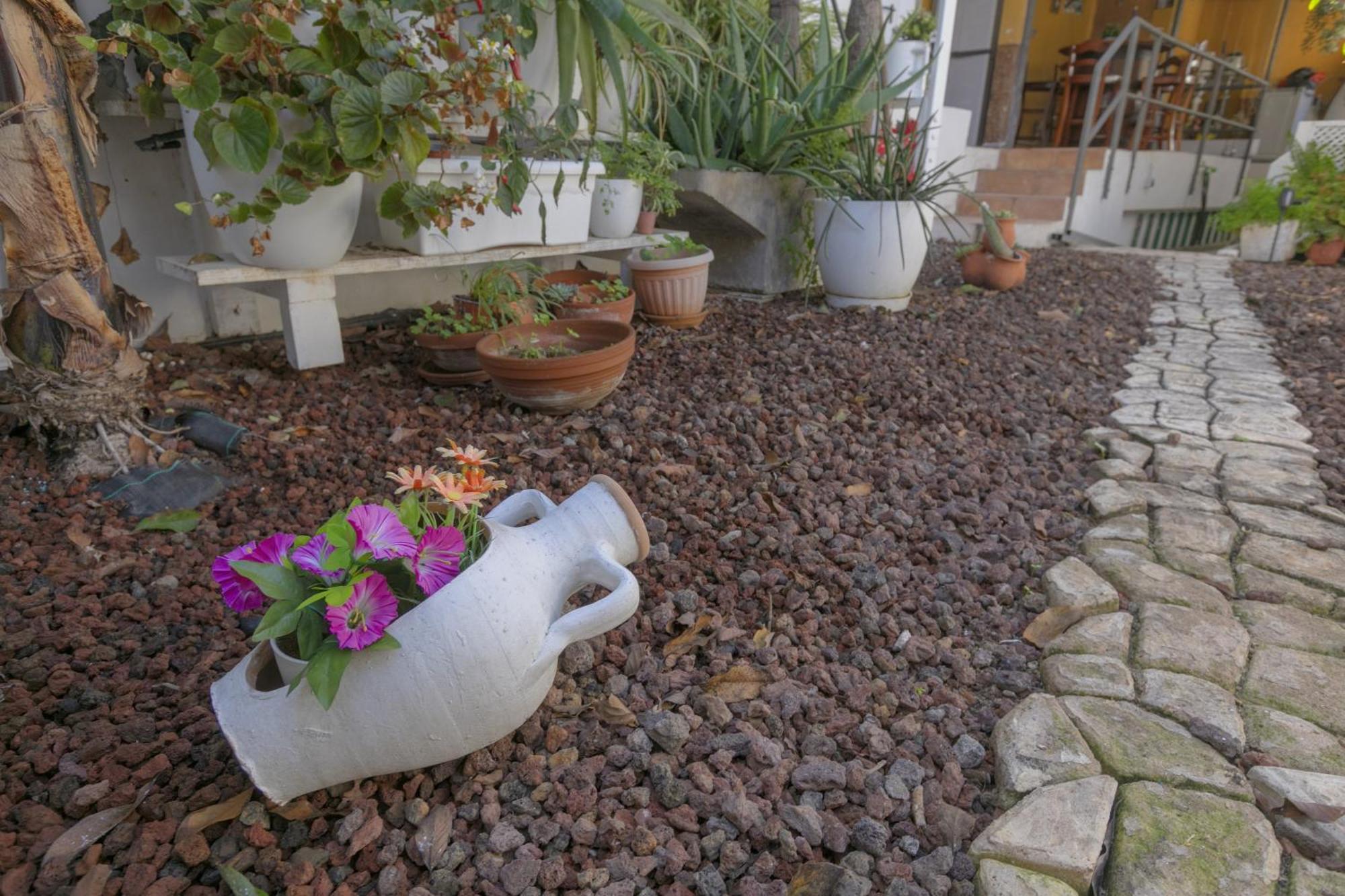Loft Cerca Del Mar Tenerife Punta Del Hidalgo Luaran gambar